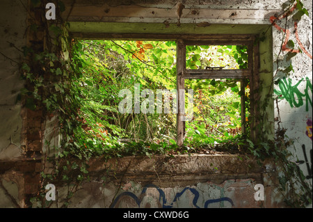 Derelict abandoned primary house school children have returned to mark their presence and the outside grows inside in window Stock Photo