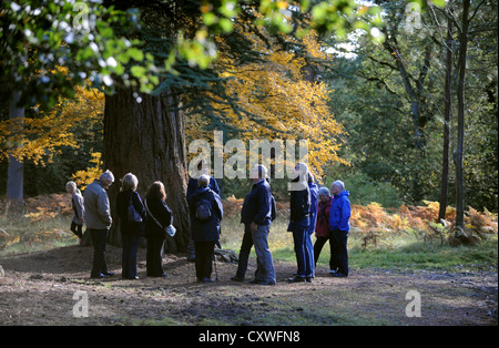 Media Photo Call - Autumn sunshine brings out the colours and visitors to Wakehurst in Sussex as a guided tour is taken on the Autumn walk Stock Photo