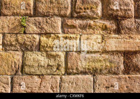 Medieval wall made ​​from old red brick Stock Photo