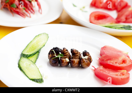 Fried cicada larvae, delicious Chinese food. Stock Photo