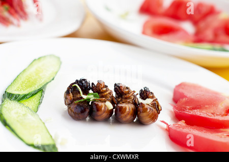 Fried cicada larvae, delicious Chinese food. Stock Photo