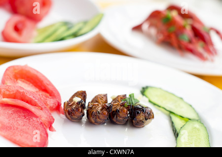 Fried cicada larvae, delicious Chinese food. Stock Photo