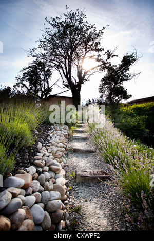 Natural stone path leading to a house landscaping element Stock Photo ...
