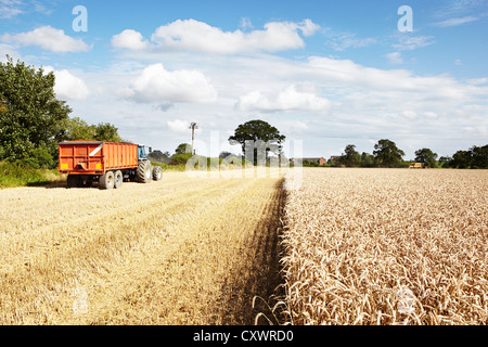 Tractor driving in harvested crop field Stock Photo