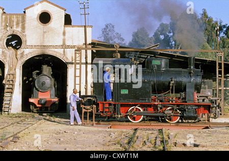 Rebuilding of Eritrea's railway between Masawa on the Red Sea Coast and Asmara the capital. Steam depot in Asmara. Stock Photo
