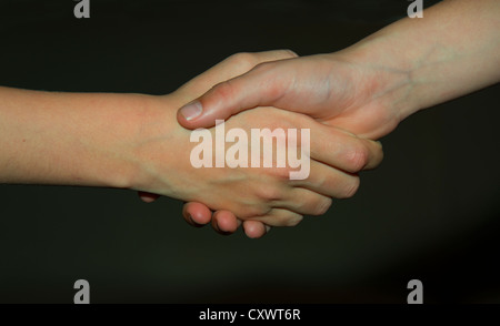 two friends shake hands making a deal Stock Photo