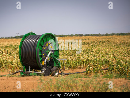 Irrigation System In Omorate, Omo Valley, Ethiopia Stock Photo