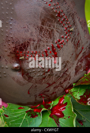 Detail Of A Suri Tribe Girl's Belly Covered By Blood During A Scarification Ceremony, Tulgit, Omo Valley, Ethiopia Stock Photo