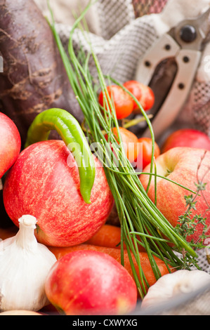 Harvest from a garden, mixed fruits and vegetables Stock Photo