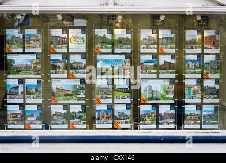 Estate Agent window display, UK Stock Photo