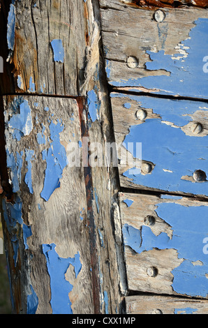 Old Flaking or Peeling Blue Paint on Hull of Rotten Old Wooden Boat Stock Photo