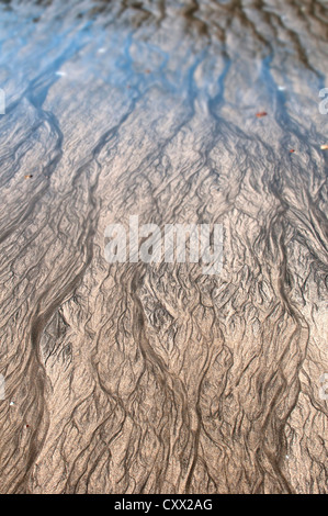 Beach patterns caused by the retreating tide leaving rivulets and meanders in the sand, Stock Photo