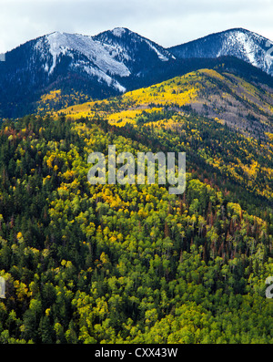 High up on Sugarloaf Mountain the view south into Lockett Meadow/Inner Basin area is great view, north of Flagstaff, AZ USA Stock Photo