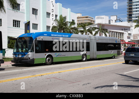 miami-dade public bus transport stop miami south beach florida usa ...