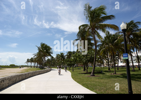 lummus park miami south beach florida usa Stock Photo