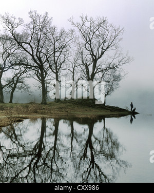 A figure with a dog standing beside a lake with trees Stock Photo