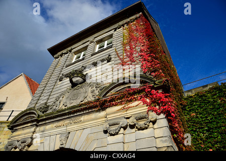 Vines of fall colors clinching on stone wall at the Bentheim Castle. Bad Bentheim, Germany. Stock Photo