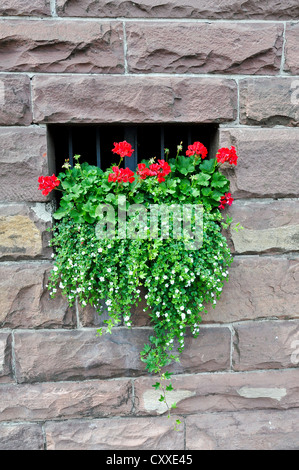 Window with flowers on stony wall Stock Photo