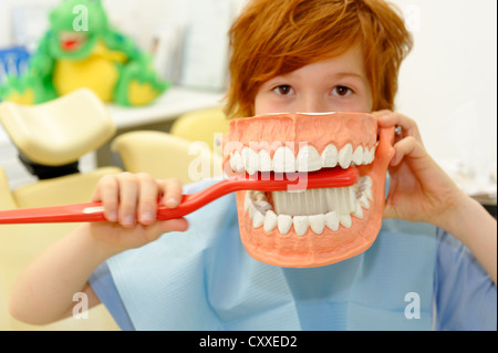 Boy at the dentist's, receiving instructions for dental care on a model, dental hygiene, dental care, dental visit Stock Photo
