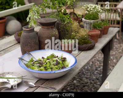 Still life, bowl of salad surrounded by decorative garden accessories on an old wooden table in a romantic garden Stock Photo