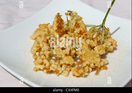 Freshly fried elderflowers, Hollerkuechlein Stock Photo