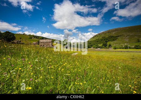 Wild Flower Meadow at Muker, Swaledale, Yorkshire Dales National Park Stock Photo