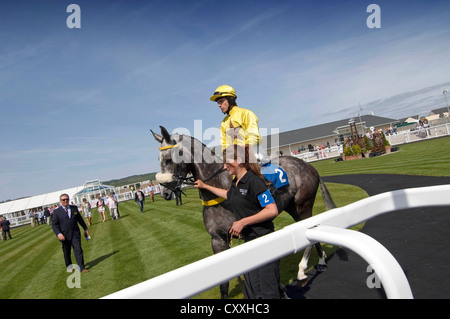 Ffos Las Race Course near Kidwelly, Carmarthenshire. Stock Photo