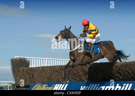 Ffos Las Race Course near Kidwelly, Carmarthenshire. Stock Photo