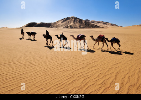 Touareg camel caravan with tourists travelling through low ...