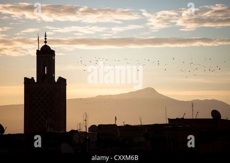 Marrakesh skyline at sunrise Stock Photo