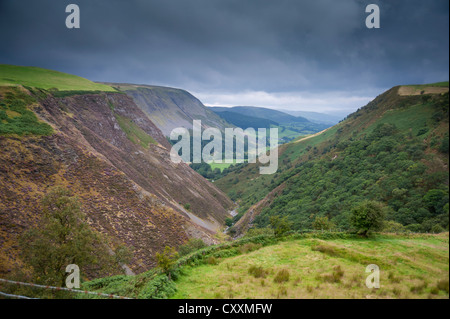 The Dylife Gorge and Afon Twymyn, Powys Mid Wales.  SCO 8682 Stock Photo