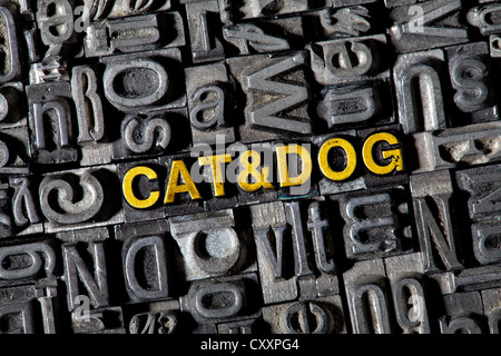 Old lead letters forming the words 'CAT & DOG' Stock Photo