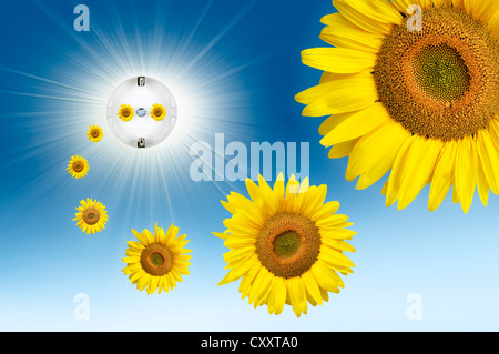 Symbolic image for solar energy, sun flowers flying out of an electric socket with sunbeams in the sky Stock Photo