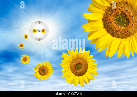 Symbolic image for solar energy, sun flowers flying out of an electric socket with sunbeams in the sky Stock Photo