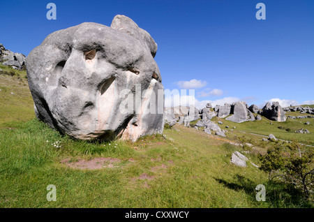 Limestone rock formations on Castle Hill, South Island, New Zealand, Oceania Stock Photo