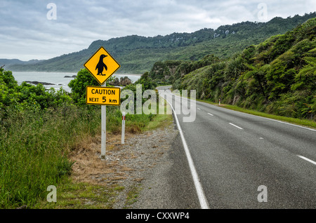 Coastal road in the Paparoa National Park, West Coast, South Island, New Zealand, Oceania Stock Photo