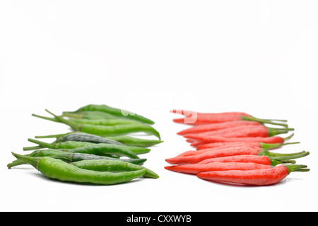 Multi-colored peppers on a white background, close-up Stock Photo