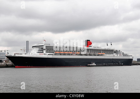 Cruise ship, Queen Mary 2, 345.03 m, up to 3090 passengers, built in 2003, at the Cruise Center in Hamburg Stock Photo