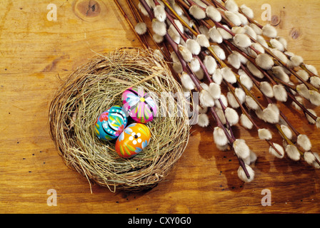 Colourful Easter eggs in a nest and catkins Stock Photo