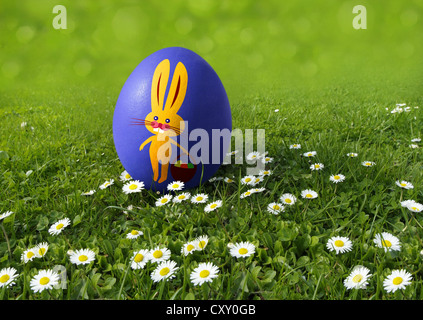 Blue Easter egg painted with an Easter bunny on a meadow with daisies Stock Photo