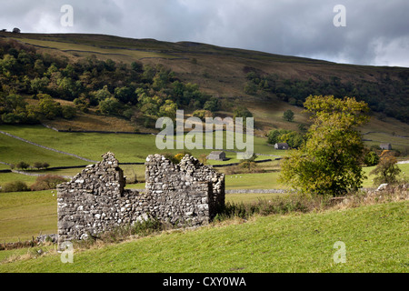 View from footpath from Kettlewell to Starbotton, Wharfedale in Autumn, North Yorkshire Dales, UK Stock Photo