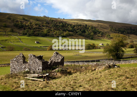Ruined Stone Barn & farming landscape near Kettlewell, Starbotton, Wharfedale in Autumn, North Yorkshire Dales, UK Stock Photo
