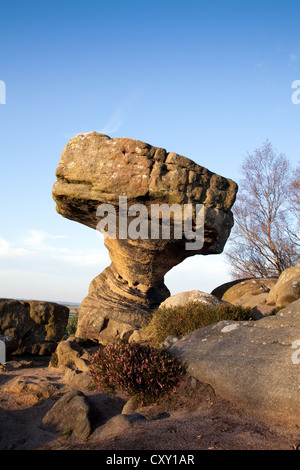 Brimham Rocks balancing natural rock formations in North Yorkshire Dales,  Active kids and visiting tourists at the National Trust Site, UK Stock Photo