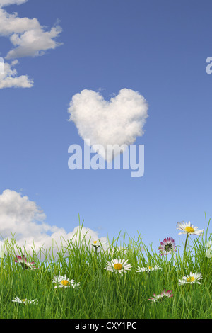 Cloud formation forming the shape of a heart in the sky above a flowering meadow, illustration Stock Photo