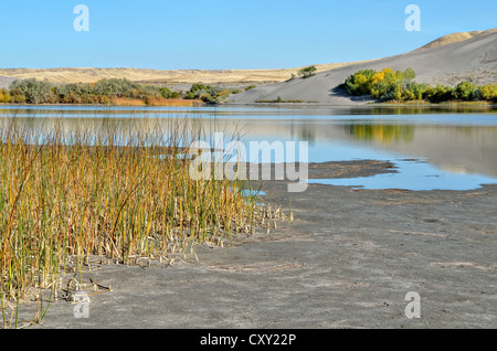 Branch of the Great Dune Lake, Bruneau Dunes State Park, Bruneau, Idaho, USA Stock Photo