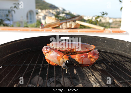 crab on charcoal grill Stock Photo