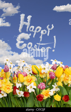 Field of flowers, lettering "Happy Easter" Stock Photo