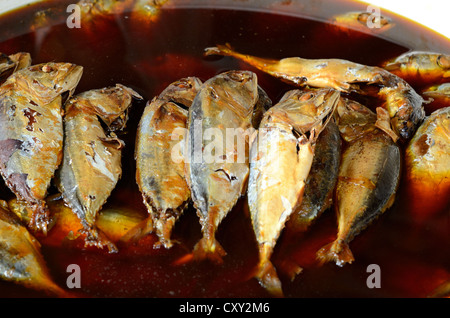 Mackerels boiled with sweet and salt sauce for sell at Thai market Stock Photo