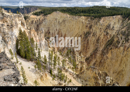 Grand Canyon of the Yellowstone River, view from Lookout Point at the North Rim towards Artist Point, Yellowstone National Park Stock Photo