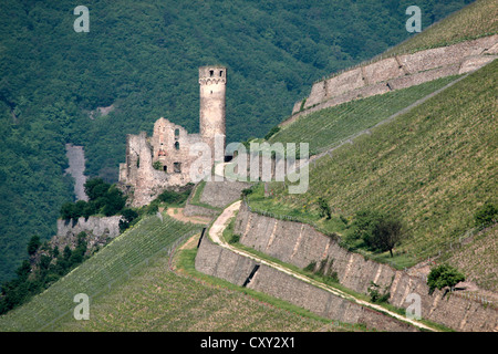 Ruin of castle Ehrenfels near Ruedesheim in the Rheingau, Hesse, Germany Stock Photo